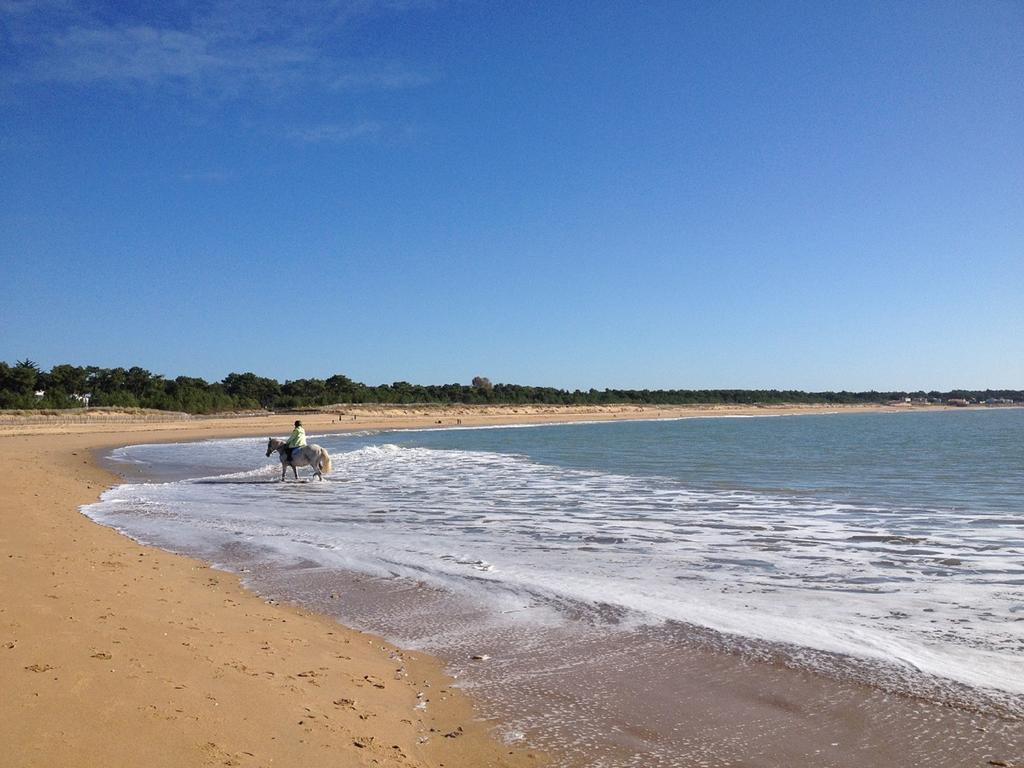 Appartement 43 M2 Front De Mer 3 Cles Vacances La Tranche-sur-Mer Δωμάτιο φωτογραφία